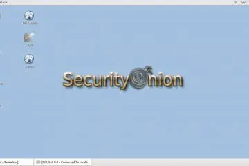 security onion