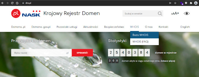 strona DNS.PL - baza WHOIS dla domeny .pl